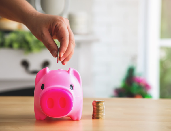  Future Wealth Investment Plans
